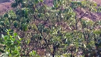 Repórteres do Estado de Minas chegam ao local da tragédia