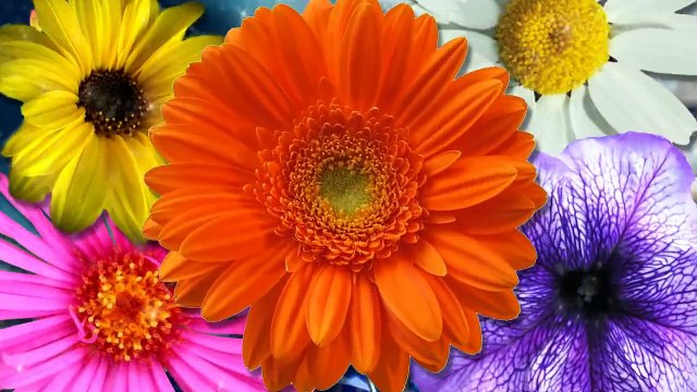 Liên Khúc Nếu Chỉ Là Trò Chơi - Yêu Em Nhưng Không Với Tới Remix Hot