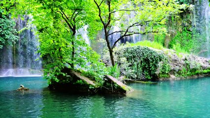 1 Hour Spa Massage Music: Deep Relaxation to Unwind, Let go of Stress, Nature Sounds ☯08