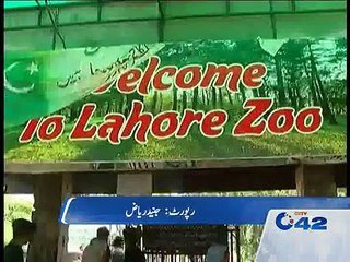 Children asks Shehbaz Shareef to take notice of ZOO animal