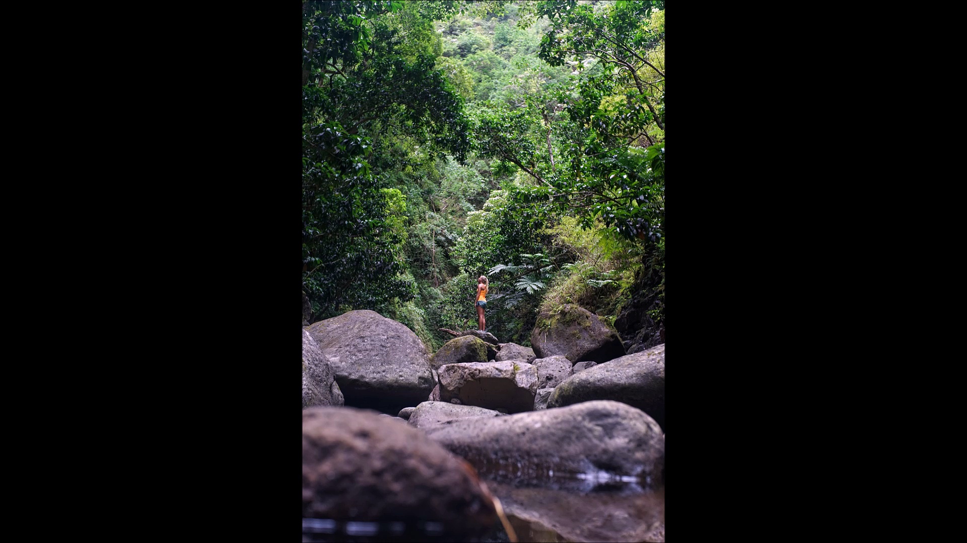 What to know about Investing – Guide for First Time Investors