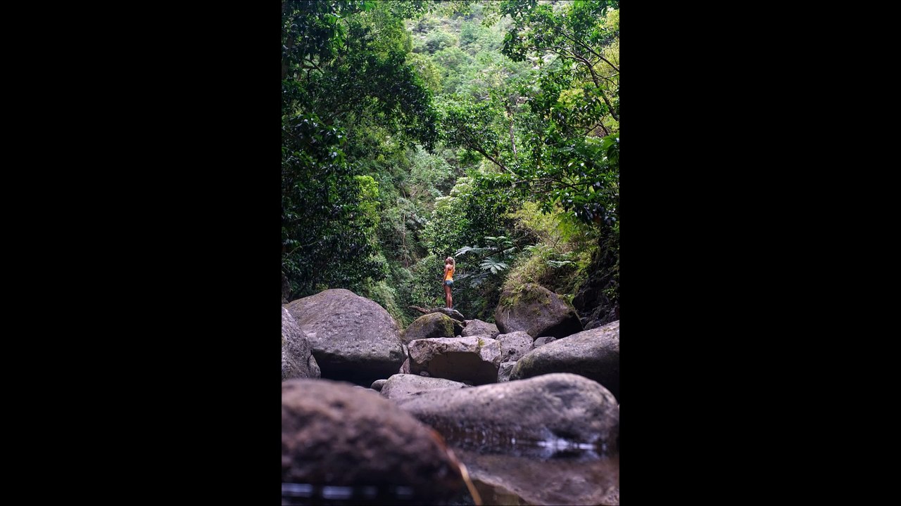 What to know about Investing - Guide for First Time Investors