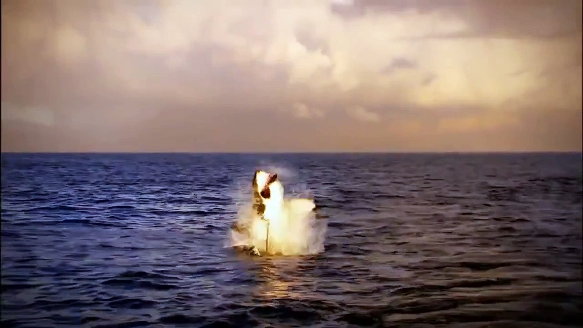 ⁣Wild discovery animals channel National Geographic documentary Animal planet HD #6