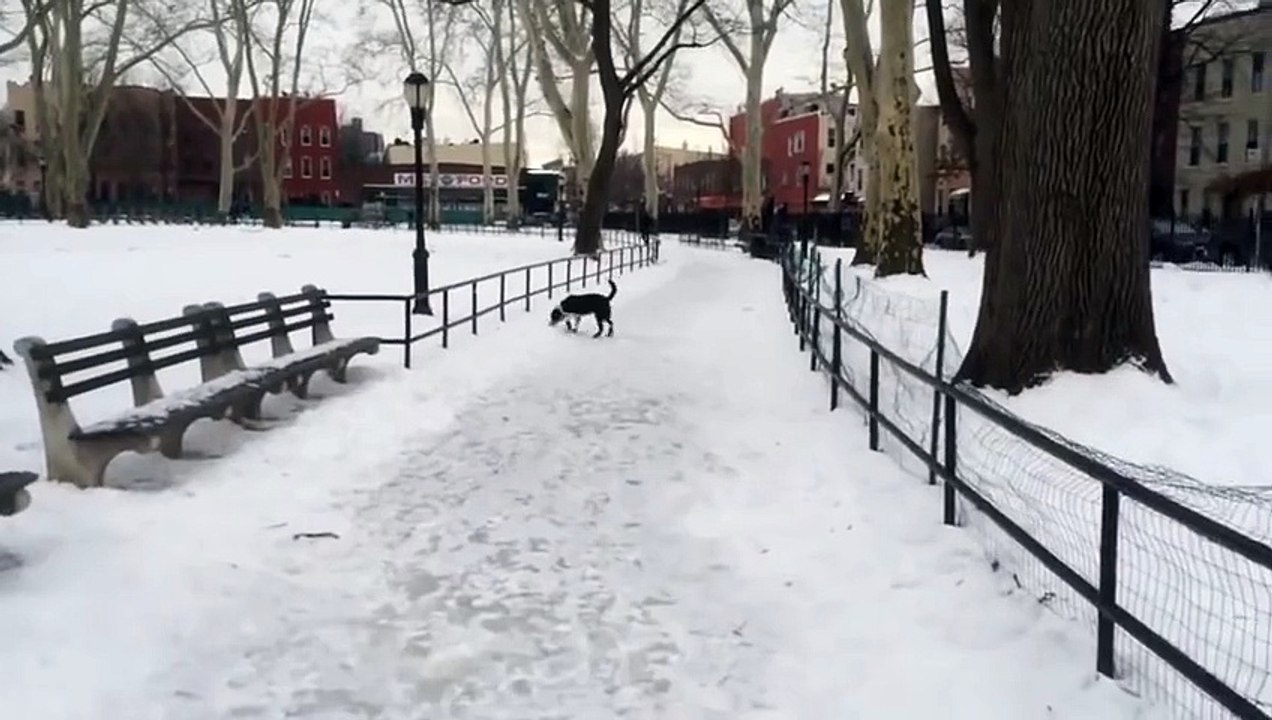 Instant Karma  Dude Slips On Ice