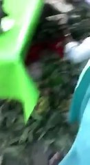 پھل احتیاط سے خریدیں