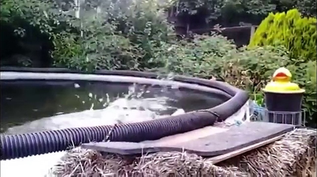 Женщины за рулем! Подборка приколов на дороге! БАБЫ за рулем! A selection of jokes on the