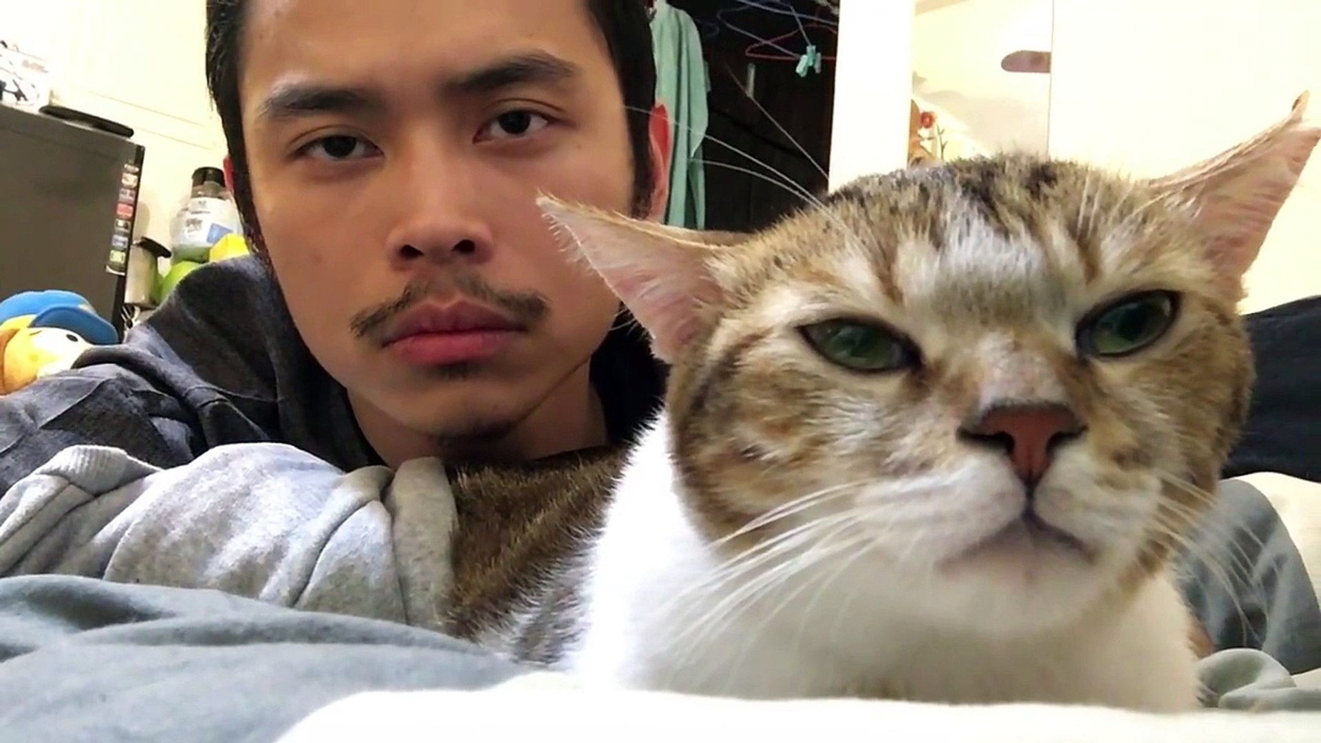 Un Chat Bouge Sa Tete Avec Son Maitre Sur Le Morceau Hotline Bling De Drake Video Dailymotion