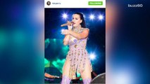 Katy Perry roars her way to the top female earner in music