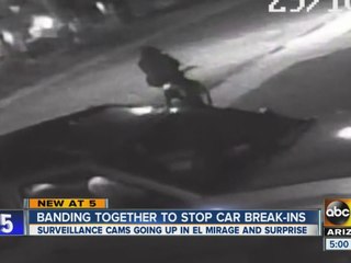 Neighbors band together to stop car break-ins