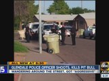 Glendale police officer shoots, kills pit bull