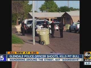 Glendale police officer shoots, kills pit bull