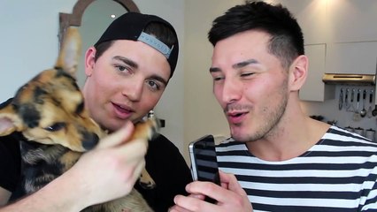 PRANK CALLING SUBSCRIBERS!