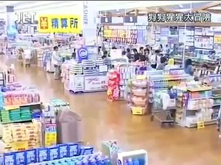 Pankun & James Last mission crayfish reappear!!! engsub 狗狗猩猩大冒險