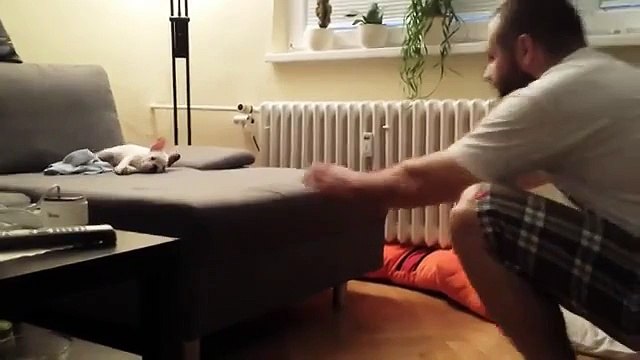 Смелый щенок