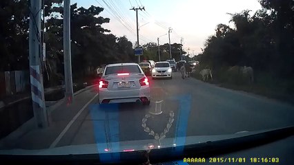 สาเหตุที่ทำให้รถติดในซอยยัวซ่า ‪#‎สมุทรปราการ‬ (6/11/58)