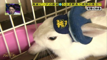 奇跡体験!アンビリバボー　ローカル鉄道復活へ・新入社員が起こした奇跡