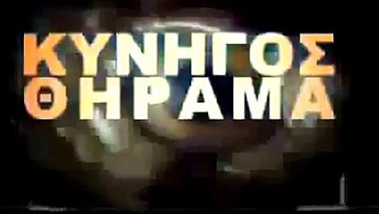 SHARK ATTACKS CAUGHT ON TAPE [Documentary]