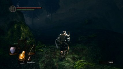 Dank Souls in a Nutshell