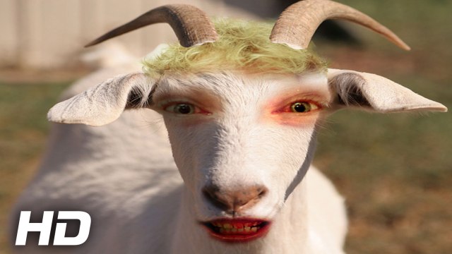 Funny Voices of Animals Around the World