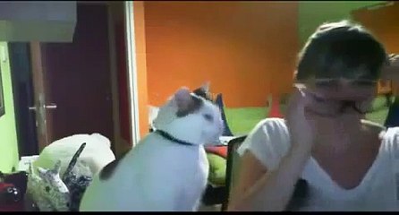 Cat Takes Glasses Off to Snuggle Laugh your heart