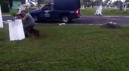 Ce berger allemand se tient immobile près d'un soldat. Et lorsque celui-ci se met en mouvement ? Wow !