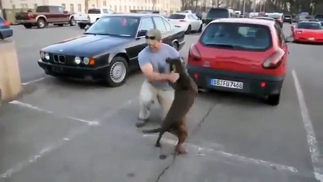 Собака встречает хозяина после армии!