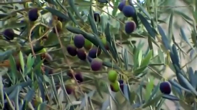 Petra Lost City of Stone Ancient History Documentary