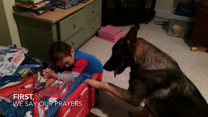 German Shepherd Dog puts little Boy to Bed... Adorable