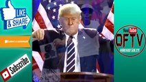 Donald Trump - Bing Bong Vine Compilation | Funny Donald Trump Bing Bong Remixed Vines Com