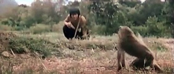 a man was looking at the fight of monkey and snake