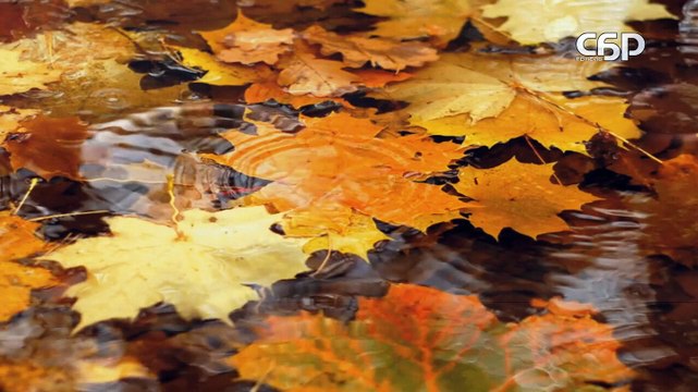 Профилактика инсульта