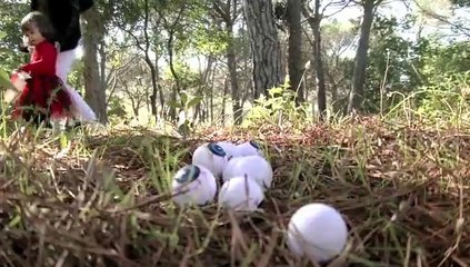 Chasse aux Z'Oeils au CLOS DES ROSES