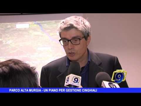 Parco Alta Murgia | Un piano per gestione cinghiali