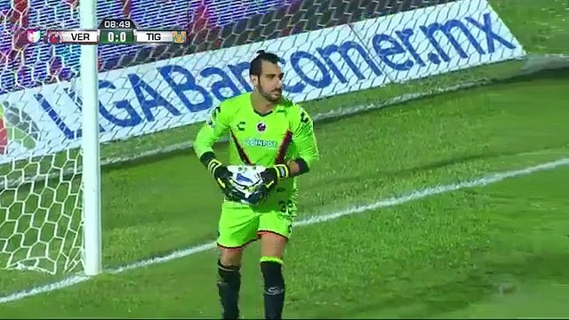 Veracruz vs. Tigres UANL 1 - 3 Highlights (Liga MX - 7 November 2015)