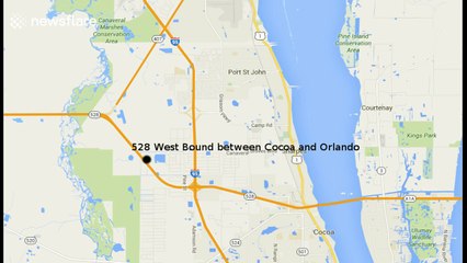 Car hits large alligator on Florida road