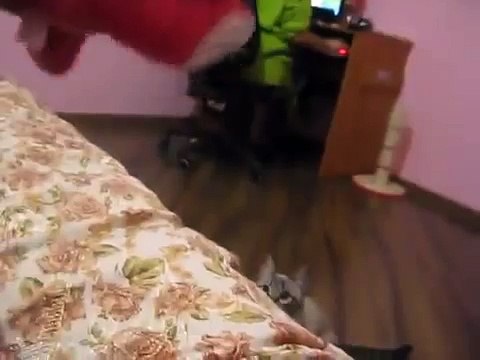 Что делают парни, когда их девушки сидят за компом؟