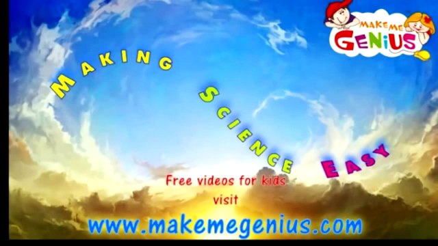 Photosynthesis Process in Plants - Lesson for Kids in Hindi