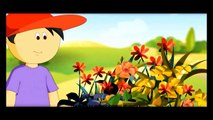Pollination Movies for Kids in Hindi