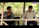 Phim Việt Nam Thế Lực Ngầm tập 29 - THVL