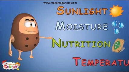 बीज प्रसार के प्रकार | जानिए पौधों के बीज फैलाने के तरीके 🌱