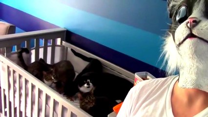 Man in Cat Mask Scares Cats