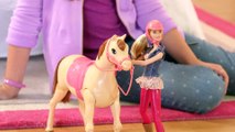 Reitpferd und Barbie Puppe