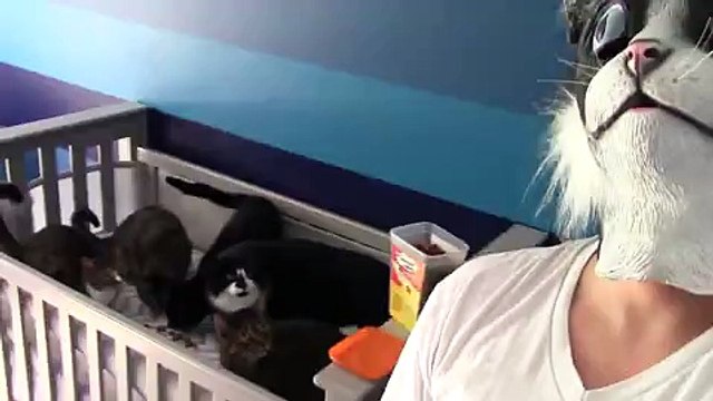 Guy wearing giant cat mask terrifies his cats