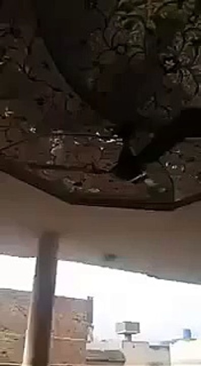 Peshawar Earthquake 2015