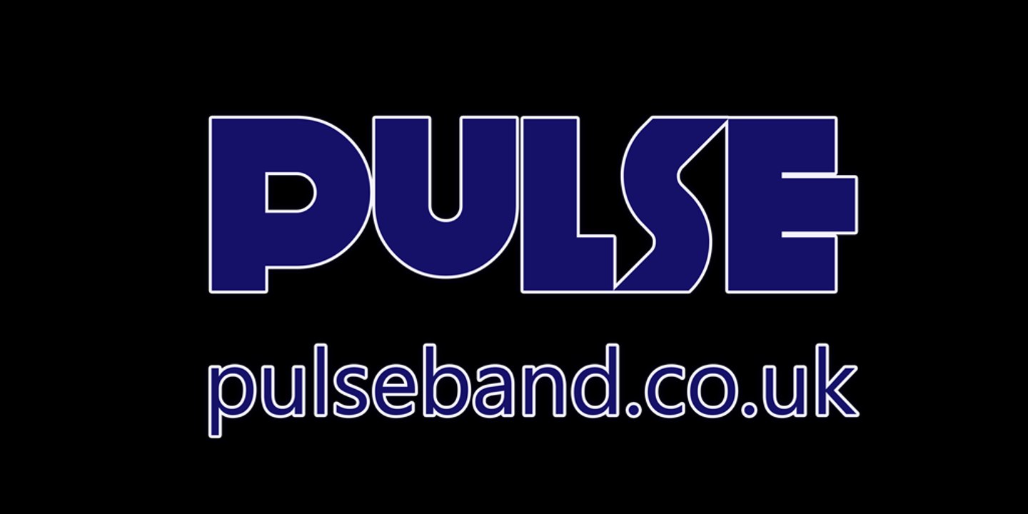 Pulse Wedding Band Demo