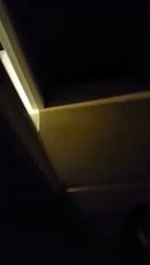 Girl Fell asleep on the Toilet