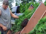 Mass Planting of Evergreen Trees at Highland Hill Farm  Video 2