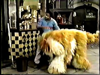 Classic Sesame Street David Watches Barkley