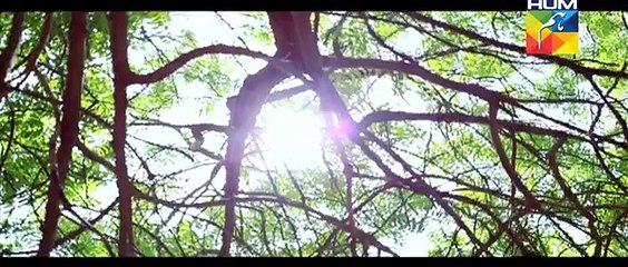 Tumhare Siwa OST Title Song FULL HD