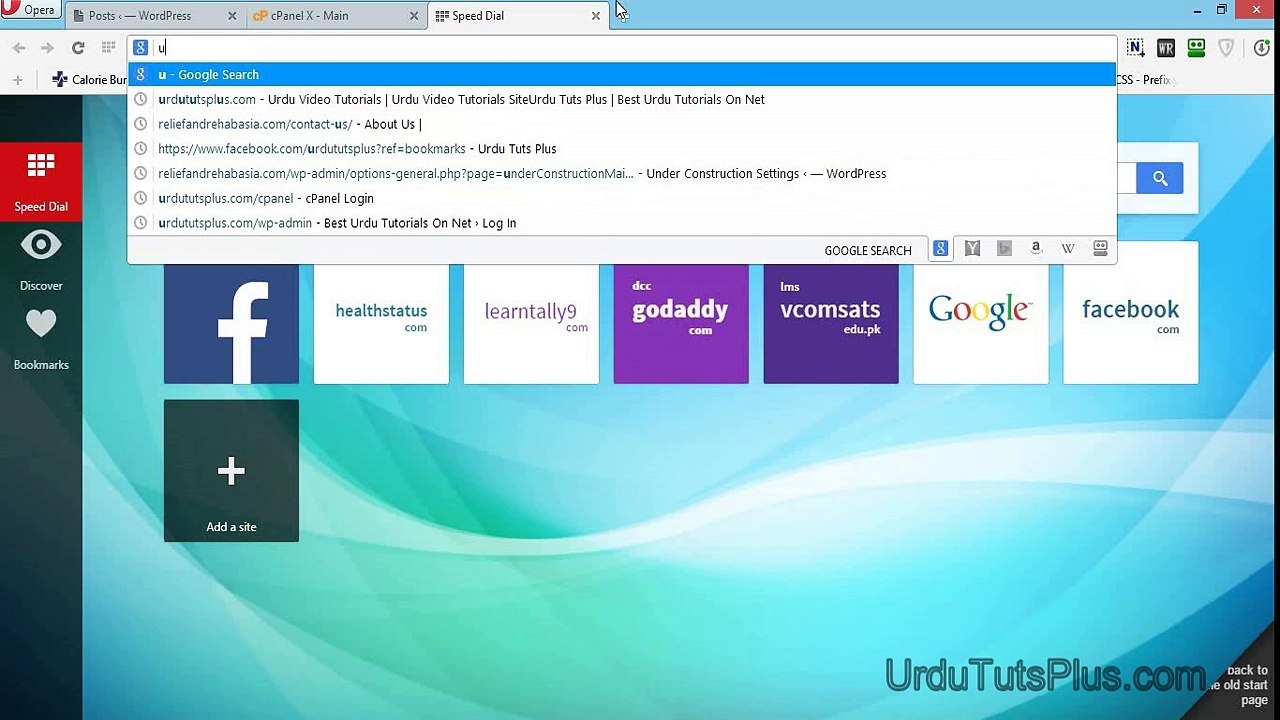 Creating Sub Domain for Wordpress_(new)